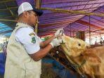 Hewan-Kurban-di-Banten-21-Juni.jpg