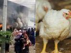 Kandang-ayam-milik-perusahaan-Firman.jpg