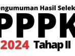 PPPK-ASN-TAHAP-2-PENGHUMUMAN.jpg