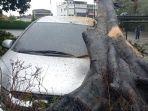 Pohon-tumbang-menimpa-mobil-Mobilio.jpg