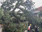 Pohon-tumbang-menimpa-nenek.jpg