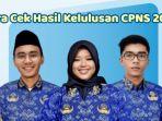 cara-cek-hasil-kelulusan-cpns-2024.jpg