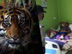 diterkam-harimau-2.jpg