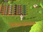 game-Harvest-Moon-Home-Sweet-Home.jpg