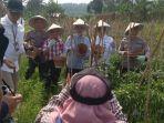 h-embay-dan-kepala-bi-banten-panen-cabai-merah.jpg