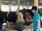 hewan-qurban-cilegonn.jpg