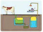 ilustrasi-biogas-kotoran-sapi.jpg