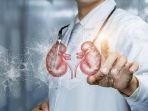 ilustrasi-gagal-ginjal-ajkfhasefdv.jpg