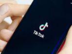 ilustrasi-tiktok-free-pik.jpg