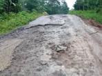jalan-rusak-pandeglang-parah.jpg