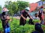 pemerintah-kota-tangerang-menerapkan-konsep-urban-farming.jpg