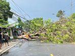 pohon-tumbang-di-Jalan-Raya-Serang-Pandeglang.jpg