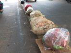 puluhan-sampah-dibungkus-plastik-hingga.jpg