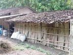 rumah-sri-hartuti-yang-menyatu-dengan-kandang-kambing.jpg