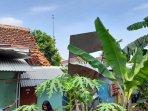 rumah-tertimpa-papan-reklame.jpg
