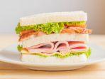 sandwich-generasi-sandwich.jpg