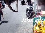 tangkapan-layar-seorang-kakek.jpg