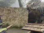 video-viral-dinosaurus-diturunkan-dari-truk.jpg