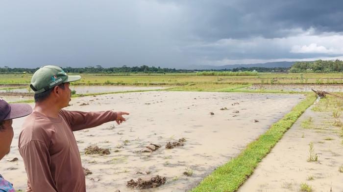 Dua Mesin Traktor Milik Petani di Kebumen Lenyap Dicuri, Slamet Terpaksa Pinjam Tetangga