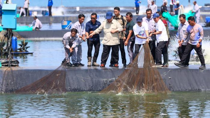 20260523-PRABOWO PANEN-UDANG