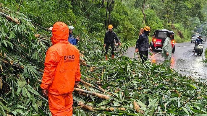 Pengendara Diminta Waspada saat Melintasi Jalan Lingkar Selatan Wonosobo, Sempat Tertutup Longsor