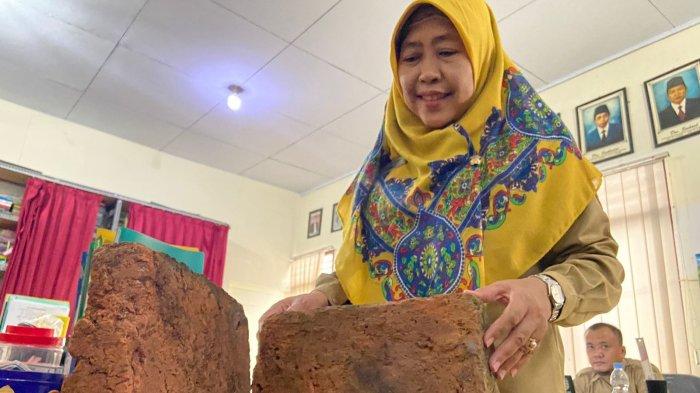 Ekskavasi Candi Tertua di Jateng Terkendala Anggaran, Pemkab Batang Sebut Tak Ada Dana