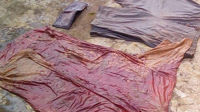 Saat Cek Penyadap Karet, Darmuji Kaget Temukan Kerangka Manusia Berserak di Pinggir Sungai