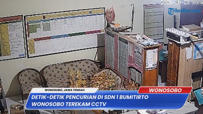 Tribun