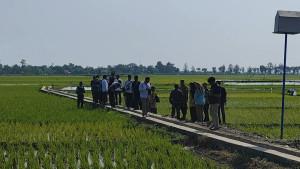 20250726-sawah-kendal-kena-rob.jpg