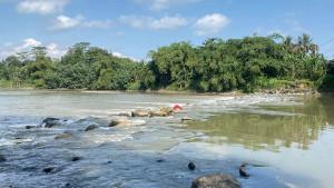 20250731-sungai-klawing-purbalingga.jpg