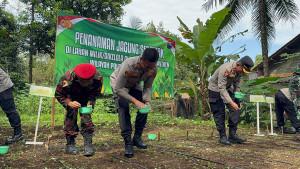 20250806-polisi-purbalingga-tanam-jagung.jpg