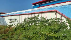 20250806-rpu-brebes-mangkrak.jpg