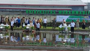 20250920-peluncuran-padi-mentari-kebumen.jpg