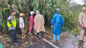 20250929-longsor-bambu-kalikajar-wonosobo.jpg