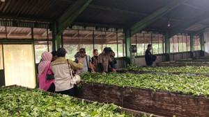 20250930-Agro-Wisata-Tambi-Wonosobo.jpg
