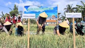 20251011-panen-bawang-merah-cilacap.jpg