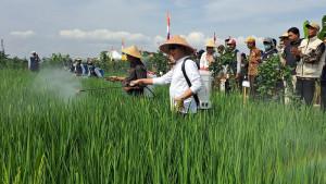 24092025-bupati-banyumas-sadewo-semprot-pestisida-ke-sawah.jpg