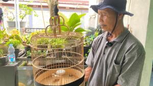 Burung-branjangan.jpg