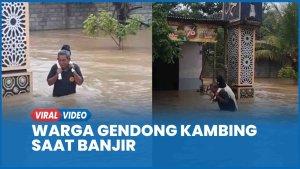 GENDONG-KAMBING-BANJIR.jpg