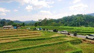 Jalur-Boja-Sumowono.jpg