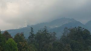Kebakaran-hutan-gunung-lawu-terlihat-dari-kawasan-candi-cetho.jpg
