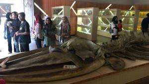 Museum-kartini-di-jepara.jpg
