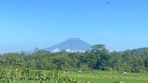 cuaca-cerah-rembang.jpg