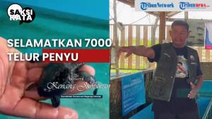 lepas-penyu-cilacap-oke.jpg