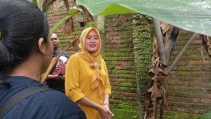 pisang-bertandan-sepanjang-dua-meter-di-sadang-kudus.jpg