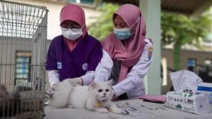 vaksin-rabies-cilacap.jpg