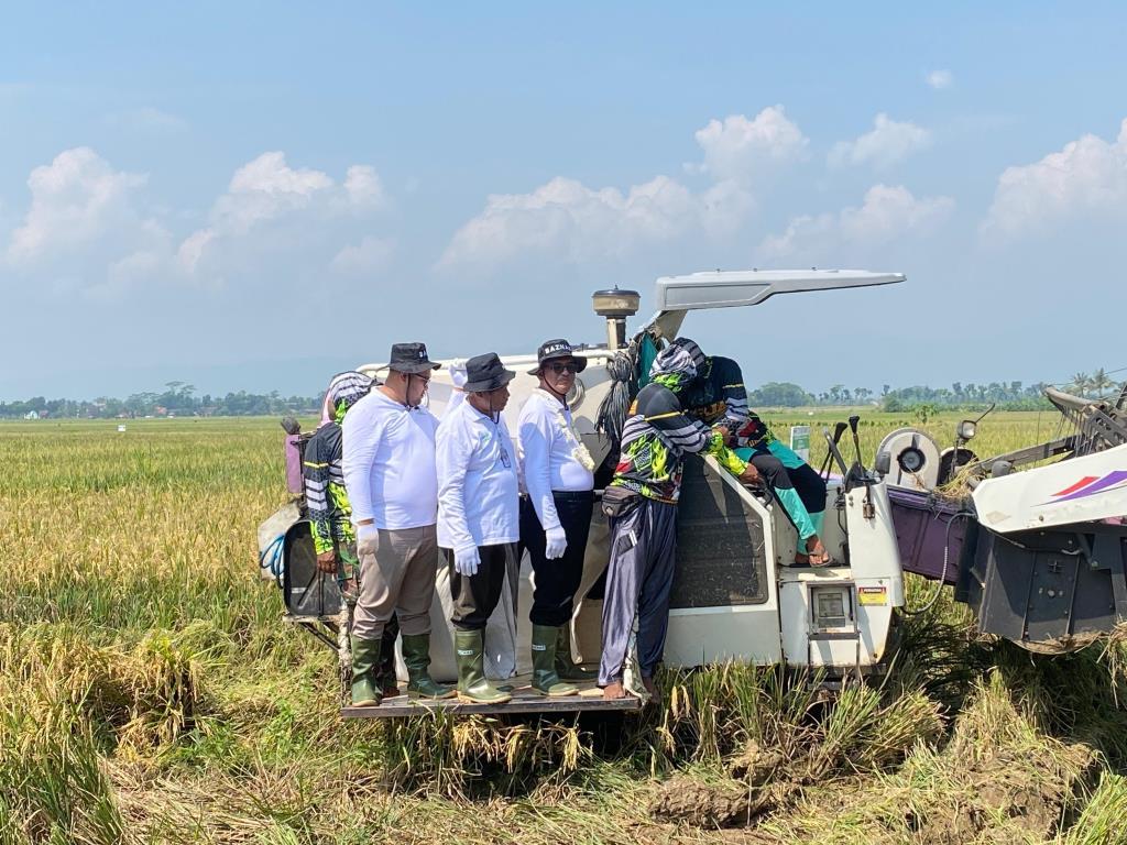05052025-wabup-purbalingga-dimas-turun-langsung-panen-raya-di-kaligondang-purbalingga.jpg