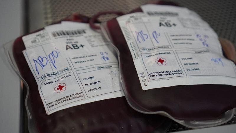 07012026-ilustrasi-kantong-darah-stok-darah.jpg