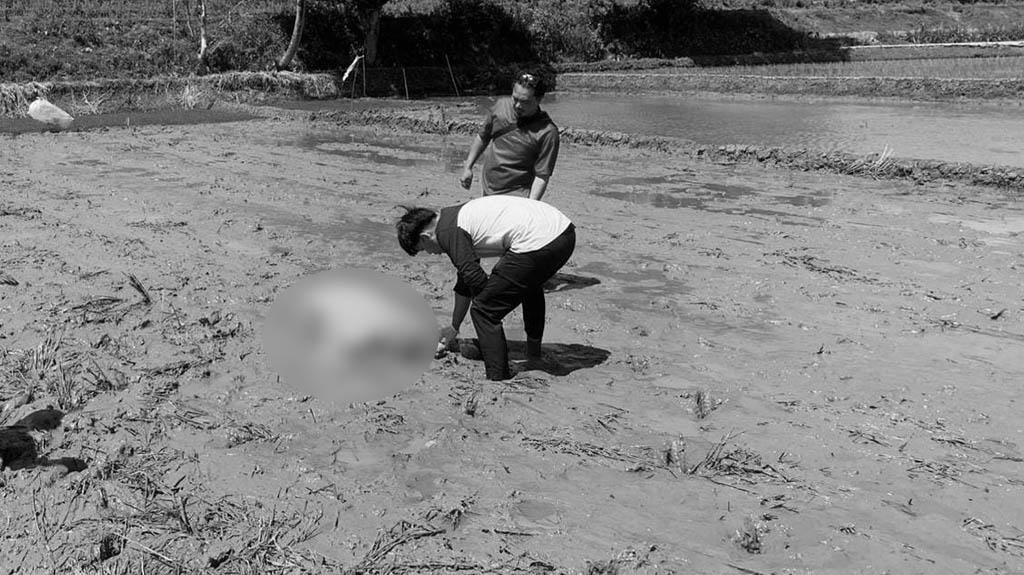 Kisah Tragis Petani di Brebes, Pagi Keluhkan Sakit, Siang Ditemukan Wafat dalam Keadaan Sujud