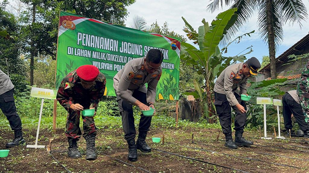 20250806-polisi-purbalingga-tanam-jagung.jpg